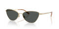 Ralph Lauren RL7093 Shiny Pale Gold/Grey (911687) Sunglasses - Color Image