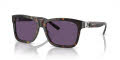 Ralph Lauren RL8203QU Havana/Purple (50031A) Sunglasses - Color Image