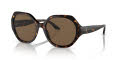 Ralph Lauren RL8208 Shiny Dark Havana/Dark Brown (500373) Sunglasses - Color Image