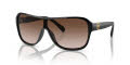 Ralph Lauren RL8214U Black/Gradient Brown (500113) Sunglasses - Color Image