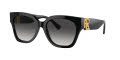 Ralph Lauren RL8221 Black / Grey Gradient (50018G) Sunglasses - Color Image
