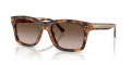 Ralph Lauren RL8237U Havana/Gradient Brown (608913) Sunglasses - Color Image