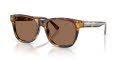 Ralph Lauren RL8239U Antique Havana/Brown (513473) Sunglasses - Color Image