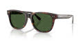 Ralph Lauren RL8239U Havana/Bottle Green (500371) Sunglasses - Color Image