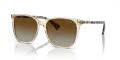 RALPH by Ralph Lauren RA5293 Shiny Transparent Brown/Polar Gradient Brown (6072T5) Sunglasses - Color Image