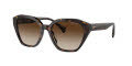 RALPH by Ralph Lauren RA5315U Shiny Dark Havana / Gradient Brown (500313) Sunglasses - Color Image