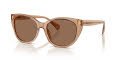 RALPH by Ralph Lauren RA5324U Shiny-Transparent-Brown/Brown (582673) Sunglasses - Color Image