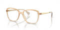 RALPH by Ralph Lauren RA7156U Shiny Transparent Brown (6128) Eyeglasses - Color Image