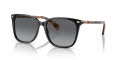 RALPH by Ralph Lauren RA5293 Shiny Black / Polar Gradient Brown (6037T3) Sunglasses - Color Image