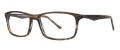 Randy Jackson RJ 3031 Brown Stripe (120) Eyeglasses - Color Image