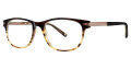 Randy Jackson RJ 3034 Brown Fade (153) Eyeglasses - Color Image