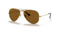 Ray-Ban RB3025 - Large Metal Aviator Gold / Crystal Brown Polarized Lens (001/57) Sunglasses - Color Image