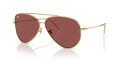Ray-Ban RBR0101S Gold / Dark Violet (001/69) Sunglasses - Color Image