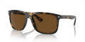 Ray-Ban RB4547 Havana / Brown (710/57) Sunglasses - Color Image