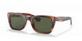Ray-Ban RB2248 Striped Havana / Green Lens (954/31) Sunglasses - Color Image