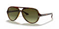Ray-Ban RB4125 - CATS 5000 Havana / Green Gradient Brown Lens (710/A6) Sunglasses - Color Image