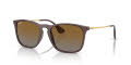 Ray-Ban RB4187 - Chris Transparent Brown / Brown (6593T5) Sunglasses - Color Image