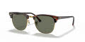 Ray-Ban RB3016 - Clubmaster Tortoise On Gold / G-15 Green (990/58) Sunglasses - Color Image