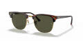 Ray-Ban RB3016 - Clubmaster Mock Tortoise- Arista / Crystal Green Lens (W0366) Sunglasses - Color Image