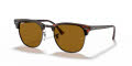 Ray-Ban RB3016 - Clubmaster Havana / Brown Lens (W3388) Sunglasses - Color Image
