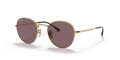 Ray-Ban RB3582 Gold / Dark Violet Polarized Lens (001/AF) Sunglasses - Color Image
