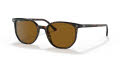 Ray-Ban RB2197 Havana / Brown (902/33) Sunglasses - Color Image