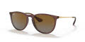 Ray-Ban RB4171 - Erika Transparent Dark Brown / Brown Gradient Polar (6593T5) Sunglasses - Color Image