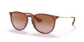 Ray-Ban RB4171 - Erika Transparent Light Brown / Gradient Brown (659013) Sunglasses - Color Image