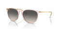 Ray-Ban RB4171 - Erika Transparent Pink / Grey (674211) Sunglasses - Color Image