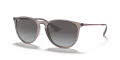 Ray-Ban RB4171 - Erika Transparent Grey / Light Grey Gradient Dark Grey Lens (65138G) Sunglasses - Color Image