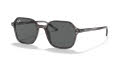 Ray-Ban RB2194 John Striped Grey / Dark Grey Lens (1314B1) Sunglasses - Color Image