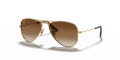 Ray-Ban Junior RJ9506S Arista / Brown Gradient Dark Brown Lens (223/13) Sunglasses - Color Image