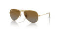 Ray-Ban Junior RJ9506S Arista Gold / Brown (223/T5) Sunglasses - Color Image