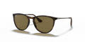 Ray-Ban Junior RJ9060S Rubber Havana / Dark Brown Lens (700673) Sunglasses - Color Image