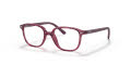 Ray-Ban Junior RY9093V Transparent Pink (3898) Eyeglasses - Color Image
