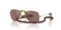 Ray-Ban Junior RJ9506S Gold / Brown Silver (223 6G) Sunglasses - Color Image