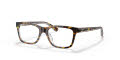 Ray-Ban Junior RY1536 Top Dark Havana On Trasp (3602) Eyeglasses - Color Image