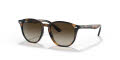 Ray-Ban Junior RJ9070S Havana / Brown Gradient Lens (152/13) Sunglasses - Color Image