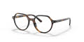 Ray-Ban Junior RY9095V - Thalia Havana (3685) Eyeglasses - Color Image
