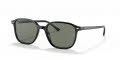 Ray-Ban RB2193 Black / Polarized Green Lens (901/58) Sunglasses - Color Image