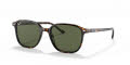 Ray-Ban RB2193 Havana / Green Lens (902/31) Sunglasses - Color Image