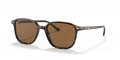 Ray-Ban RB2193 Tortoise / B-15 Brown (902/57) Sunglasses - Color Image