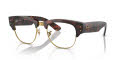 Ray-Ban RB0316V Tortoise On Gold 2372 Eyeglasses - Color Image