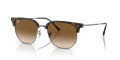 Ray-Ban RB4416 - New Clubmaster Havana / Brown (710/51) Sunglasses - Color Image