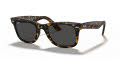 Ray-Ban RB2140 - Original Wayfarer Havana on Transparent Light Brown / Dark Grey Lens (1292B1) Sunglasses - Color Image