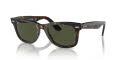 Ray-Ban RB2140F - Alternate Fit Original Wayfarer Tortoise / Crystal Green Lens (902) Sunglasses - Color Image