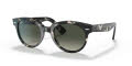 Ray-Ban RB2199 Gray Havana / Grey Gradient Dark Grey Lens (133371) Sunglasses - Color Image