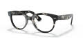 Ray-Ban RB2199V - Orion Optics Grey Havana (8117) Eyeglasses - Color Image
