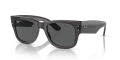 Ray-Ban RB0840S - Mega Wayfarer Transparent Black/Dark Grey (1406B1) Sunglasses - Color Image