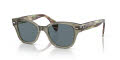 Ray-Ban RB0880S Transparent Green / Dark Blue Lens (66353R) Sunglasses - Color Image